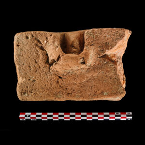 Brick fragment with pig hoof print