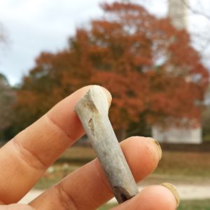 Pipe stem fragment