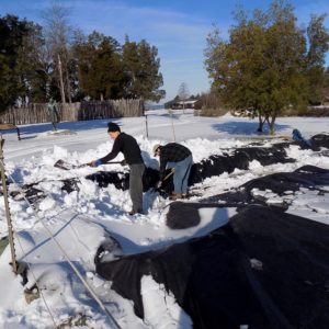 Staff shoveling snow