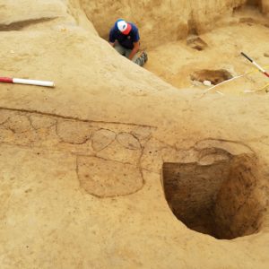 Archaeologist excavating in unit with line of postholes