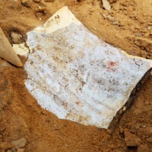 Ceramic sherd in situ