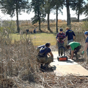 Jamestown Rediscovery archaeologists conducting GPR analysis on the Pitch and Tar Swamp.