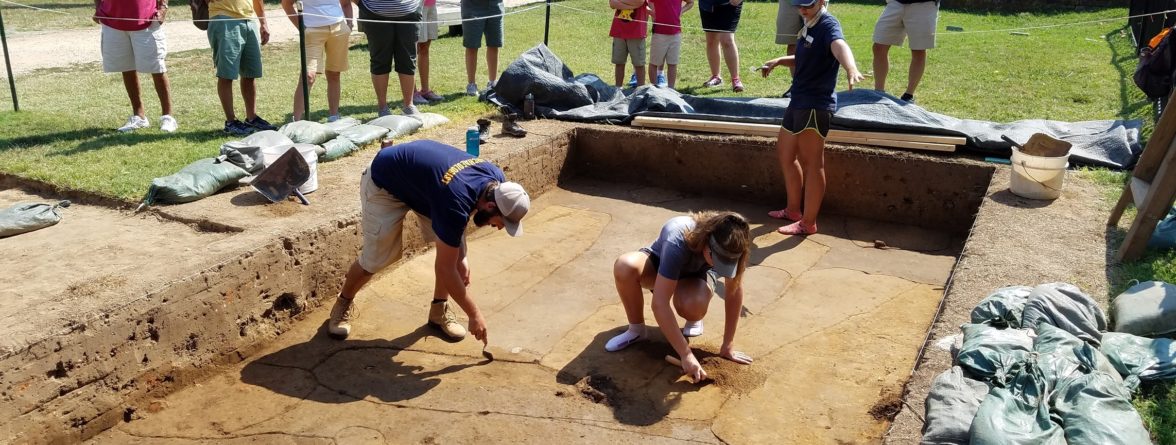 Tour watching excavating archaeologists