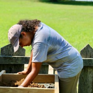 Archaeologist examines artifacts in a screen