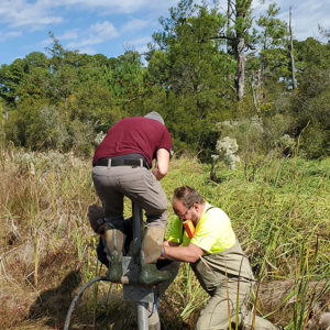 Dr. David Leslie and archaeologists Hannah Barch and Gabriel Brown push the vibracore pipe into the Pitch and Tar Swamp to get a soil sample.