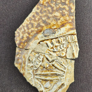 A Frechen stoneware medallion found in the excavations southwest of the Archaearium