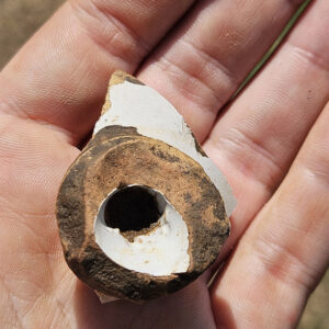 A delftware salt container found by a Kids Camp attendee at the cellar excavations.