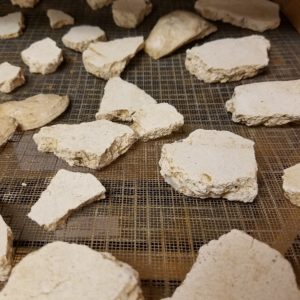 Plaster samples in a tray