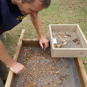 Archaeologist screening for artifacts