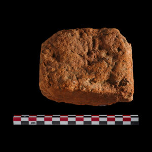 Brick fragment with animal print (possible raccon)