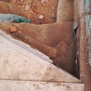 iron spikes in situ in the corner of an excavation unit