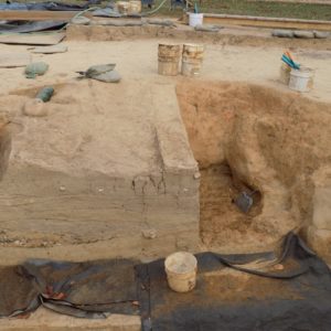 Portion of an excavated cellar