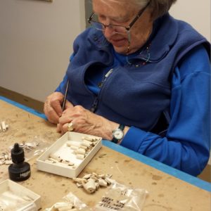 Volunteer labeling tobacco pipe fragments