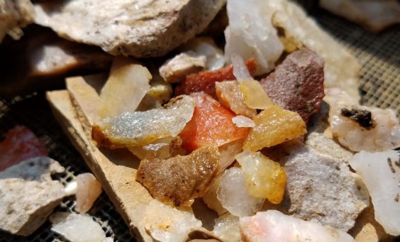 Assortment of lithic flakes in a screen