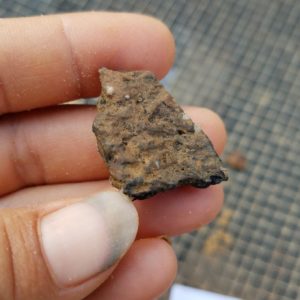 Ceramic sherd