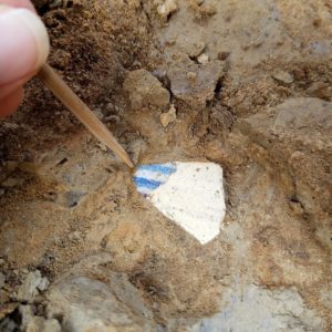 Ceramic sherd in situ