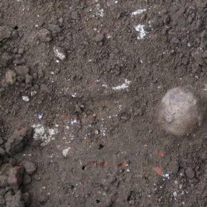 Cannonball in situ