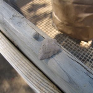 Musket ball and pottery sherd sitting on tray edge