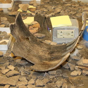 half of a mended Virginia Indian pot and an assortment of other Virginia Indian pottery sherds on a table