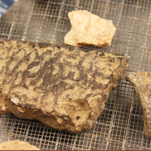 Native pottery sherd and assortment of other ceramic sherds in a screen