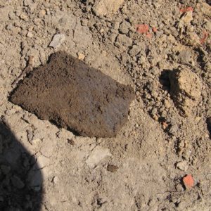 Pottery sherd in situ