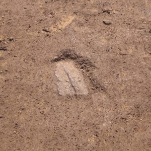 Ceramic sherd in situ