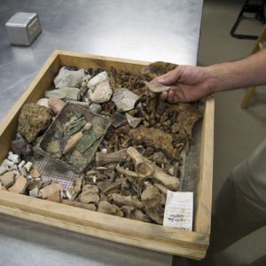 Tray of artifacts on a lab table