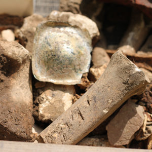 Assortment of artifacts including animal bones in a screen