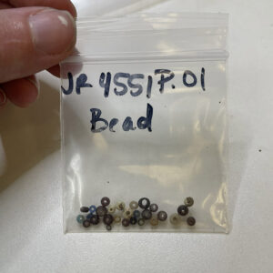 28 seed beads found by Associate Curator Janene Johnston while picking through objects excavated during the midden excavations of 2021.