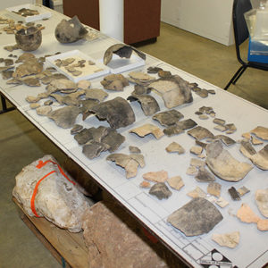 table covered with Virginia Indian pottery sherds