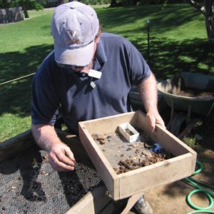 Archaeologist picks artifacts from a screen