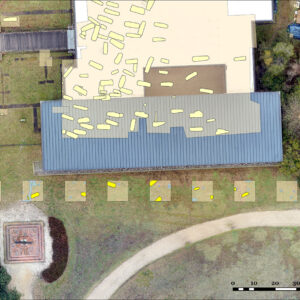 A map of the current excavations just south of the Archaearium. The eight squares are the location of the current dig. Bright yellow features are newly-found burials. The dull yellow features to the north are burials found in the early 2000s. The remains of the possible early building are depicted in light blue in the second square.