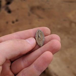 hand holding an oval-shaped pin