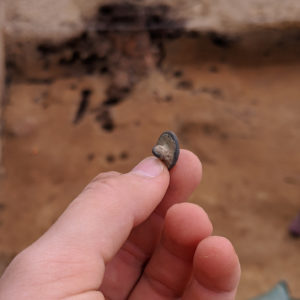 hand holding a copper alloy button