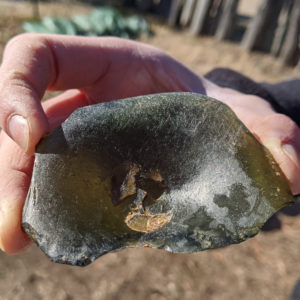 hand holding a broken case bottle base