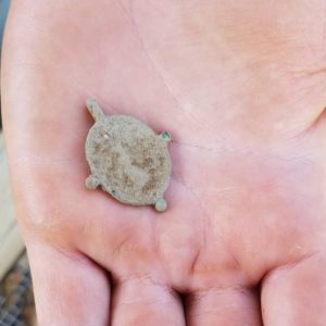 Hand holding oval medallion