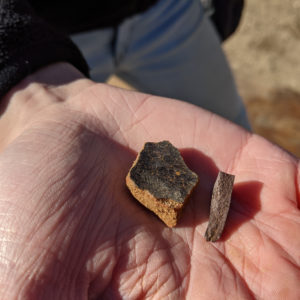 hand holding two ceramic sherds