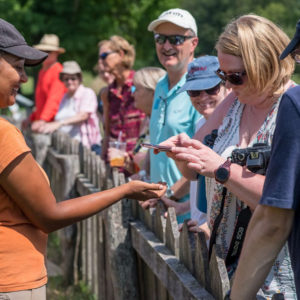 Archaeologist shows visitors artifacts