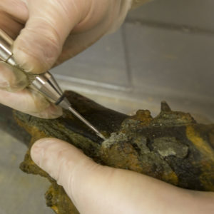 Tool being used to remove corrosion on a pistol