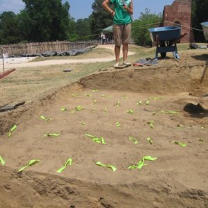 Excavation unit with many green tags marking the location of features