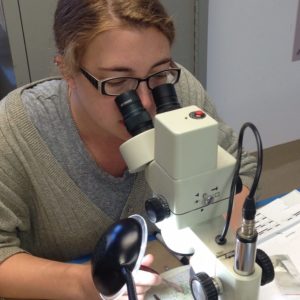 Conservator looking through a microscope to remove corrosion on an artifact