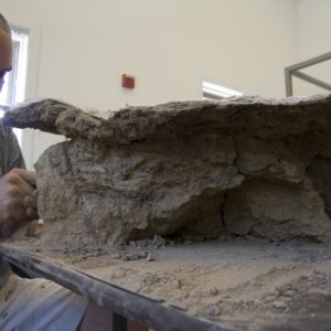 Conservator seated next to a large corroded armor piece