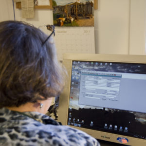 Curator looking at a database software on a computer screen