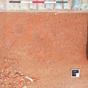 A brick rubble feature just south of the Archaearium. This might be related to one of the instances the Statehouse was burned, once in 1676 during Bacon's Rebellion, and again in 1698 just before the capital's move to Middle Plantation (Williamsburg).