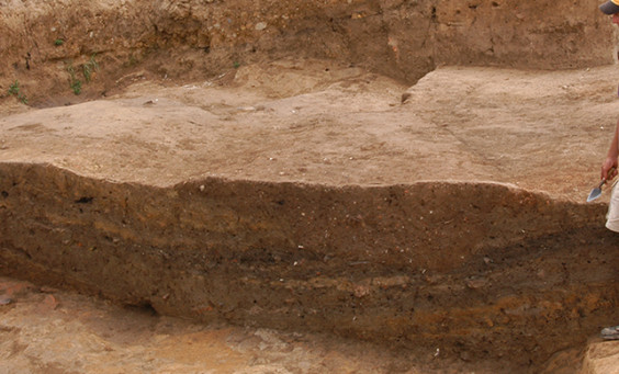 Archaeologist examining excavation unit