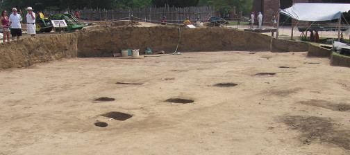 Line of postholes in an excavation unit