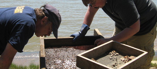 Archaeologists examine artifacts in screen