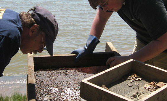 Archaeologists examine artifacts in screen