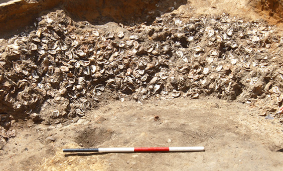 archaeologist sits next to a large pile of oyster shells