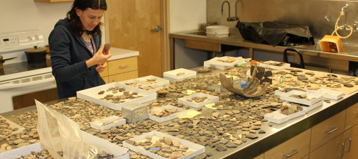 Staff examine a large number of ceramic sherds on a lab table